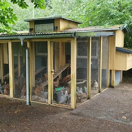 Séjour chez l'habitant Stort Vaerelse Med Tekokken, Taet Pa Hav Og Fjord. *